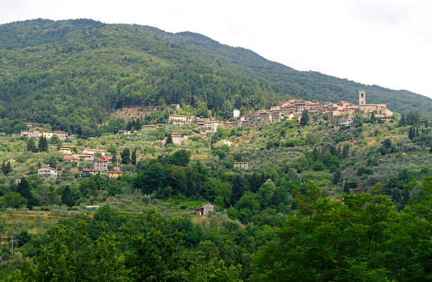Panorama collinare nei pressi di Uzzano
