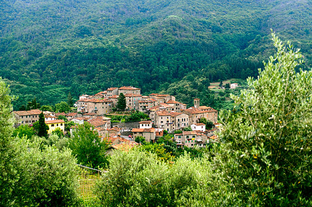 Borgo collinare con campanile, tra gli ulivi della Valdinievole