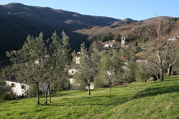 Paesaggio collinare della Toscana nei pressi di Uzzano
